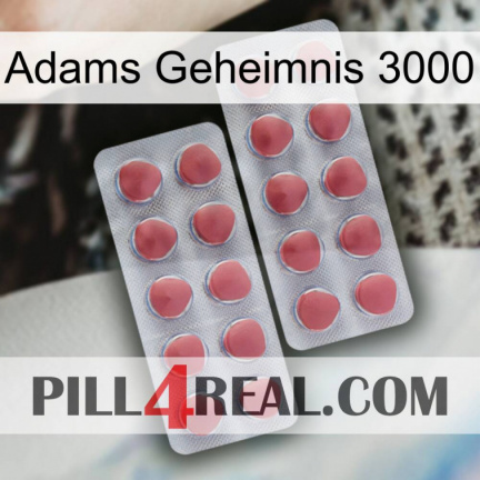 Adams Secret 3000 19